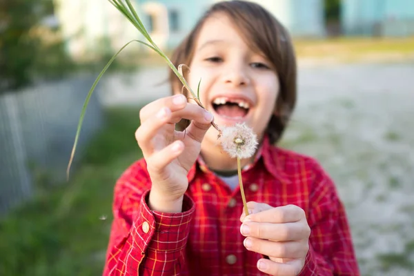 小さなかわいいです男の子上の牧草地でタンポポ — ストック写真