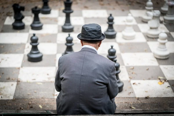 Foto de Negócios Pessoas Jogando Xadrez e mais fotos de stock de Adulto -  Adulto, Autoconfiança, Branco - iStock