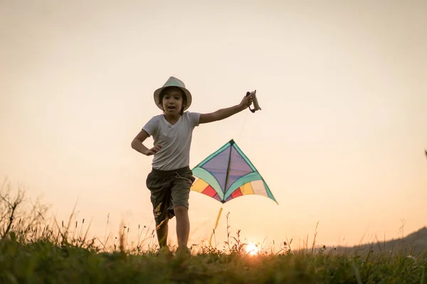 小孩子在草地上放风筝 — 图库照片