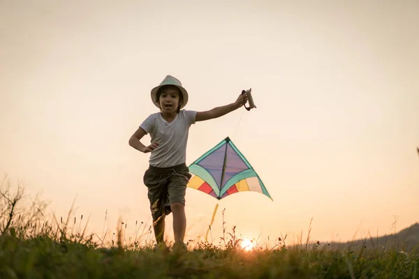 Pequeño Niño Con Cometa Prado —  Fotos de Stock