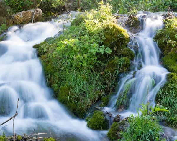 Prachtige Natuur Met Stromend Water Rondom Stockafbeelding