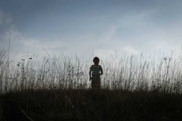 Felice Bambino Piccolo Prato Campo Tramonto Immagine Stock