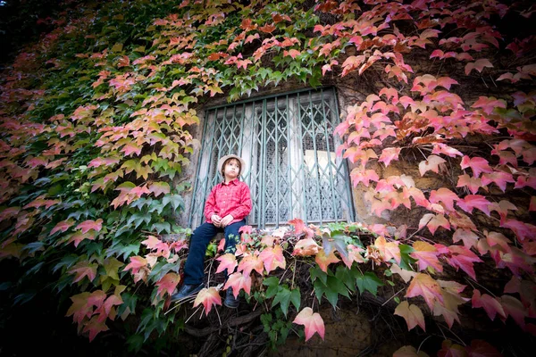 Niño Casa Con Hojas Otoño Las Paredes —  Fotos de Stock