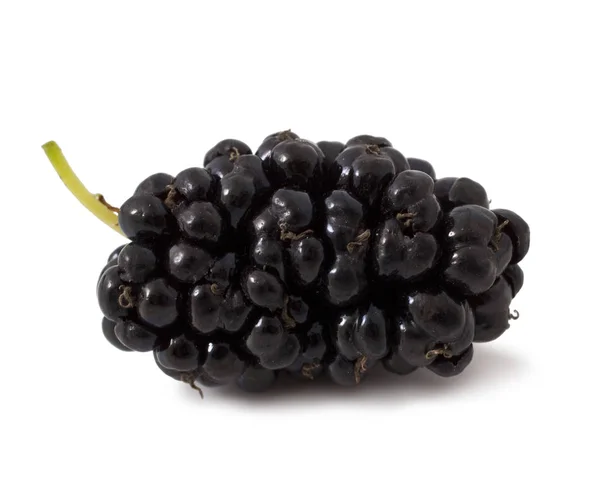 Ripe fresh Mulberry — Stock Photo, Image
