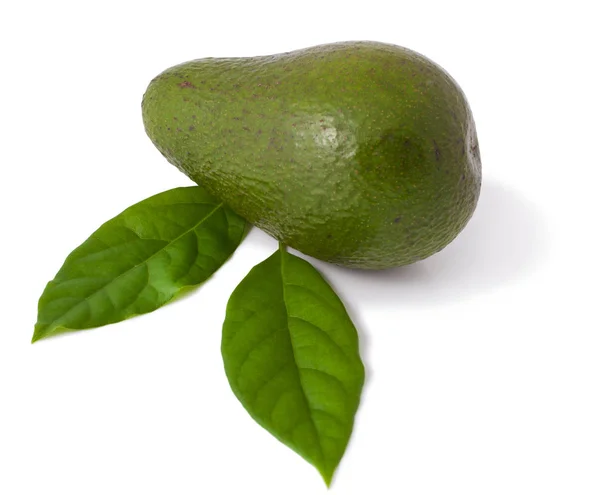 Avocado Fresco Sfondo Bianco Immagine Stock