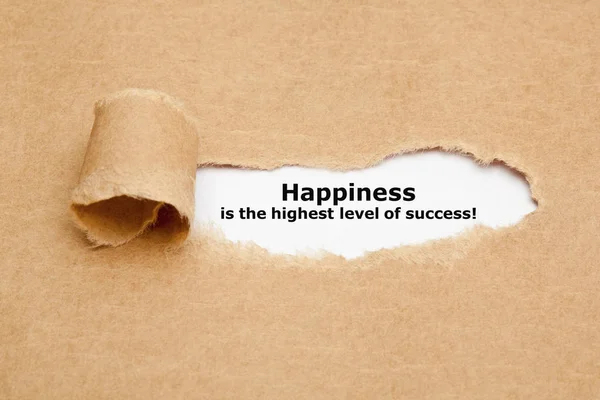 Mutluluk başarının en üst seviyesidir. — Stok fotoğraf
