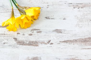 Gökyüzünde dolunay