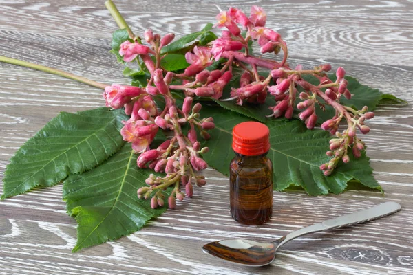 Bach blomst dråber rød kastanje - Stock-foto