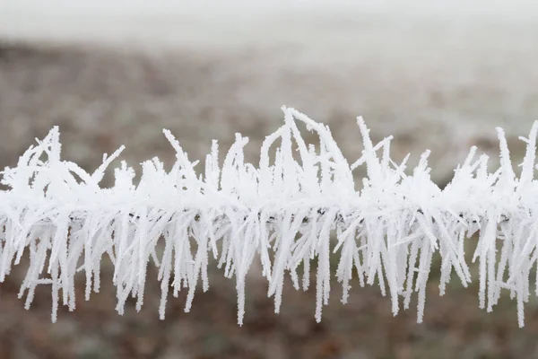 Vit frost på staket — Stockfoto
