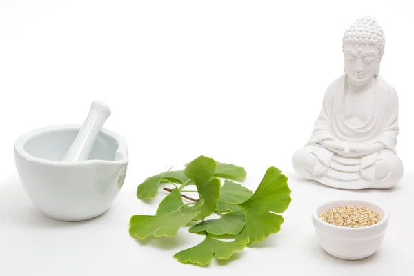 Fresh and dried ginkgo with buddha — Stock Photo, Image