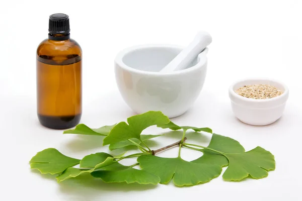 Medicina a base di erbe di ginkgo — Foto Stock