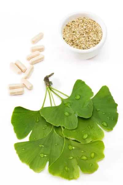Ginkgoblätter mit Medizin — Stockfoto