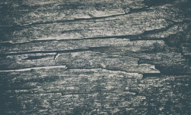 eski yönetim kurulu 