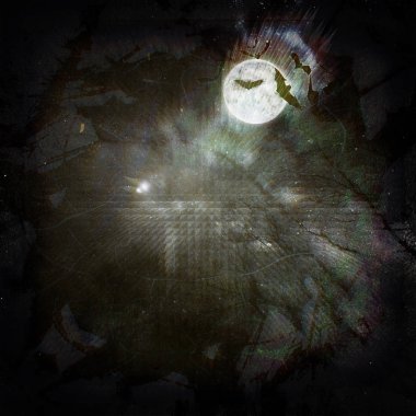 gece uçan yarasalar