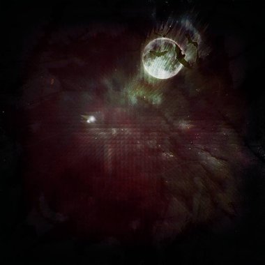 gece uçan yarasalar