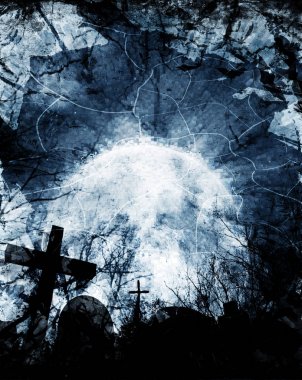 gece uçan yarasalar