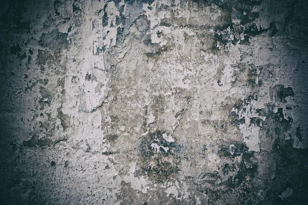 Alte Mauer — Stockfoto