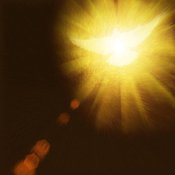 shining dove with rays on a dark 
