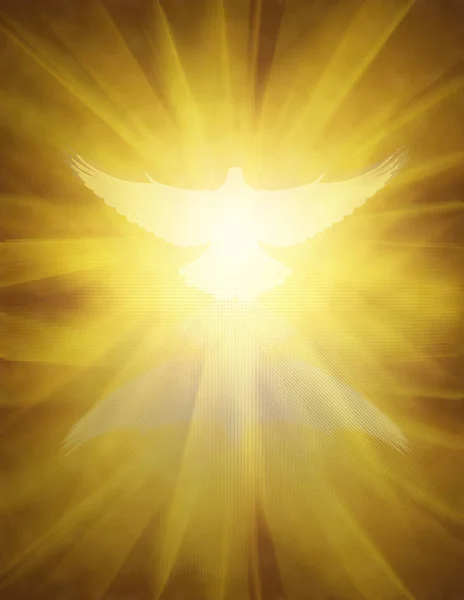 Shining dove with rays on a dark — Stock Photo, Image