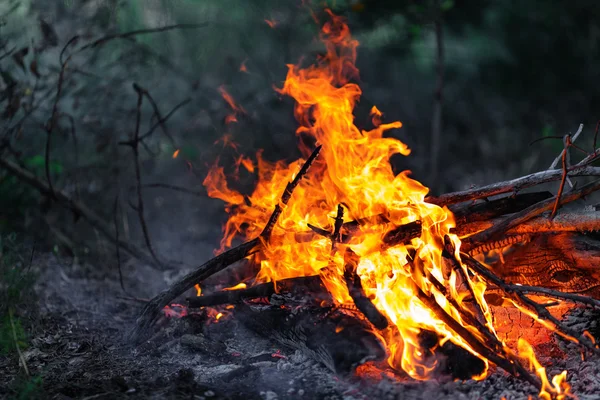 Blazing campfire coals — Stock Photo, Image