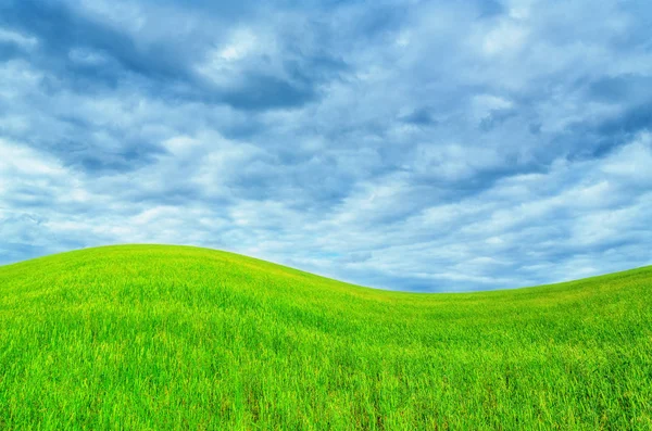 Campo Verde Céu Azul Nublado Natureza Fundo — Fotografia de Stock