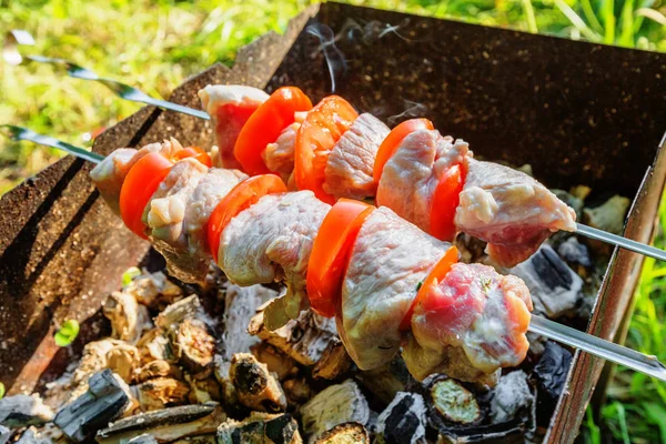 Stück Schweinefleisch Mit Tomatenscheiben Die Auf Spießen Über Holzkohle Gebraten — Stockfoto