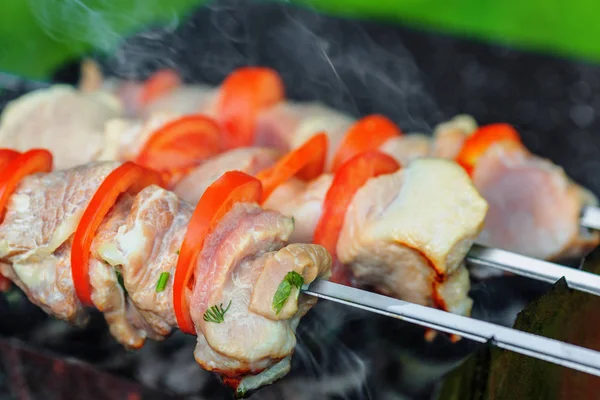 Stück Schweinefleisch Mit Tomatenscheiben Die Auf Spießen Über Holzkohle Gebraten — Stockfoto