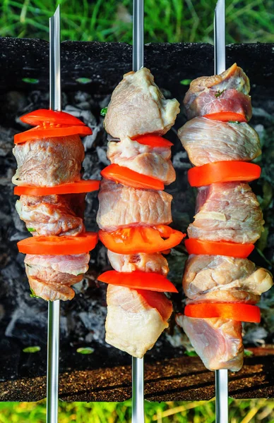 꼬치에 돼지고기 shashlik — 스톡 사진