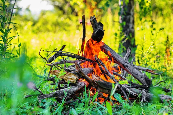 Gros Plan Des Charbons Feu Camp Plein Jour — Photo