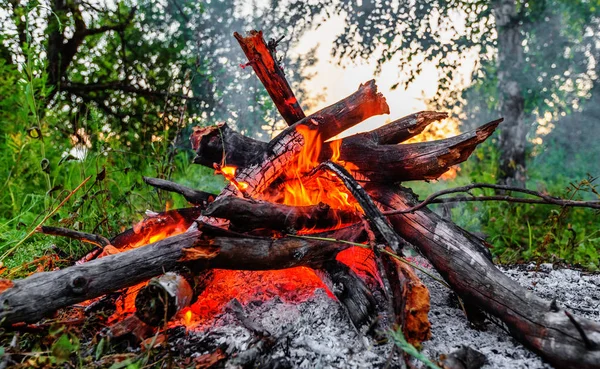 Closeup Blazing Campfire Coals Evening — Stock Photo, Image