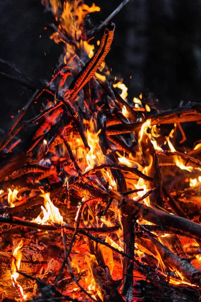 Nahaufnahme Von Brennenden Ästen Und Brennholz Der Nacht — Stockfoto