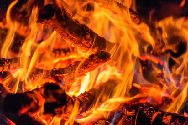 Closeup Blazing Campfire Coals Night — Stock Photo, Image