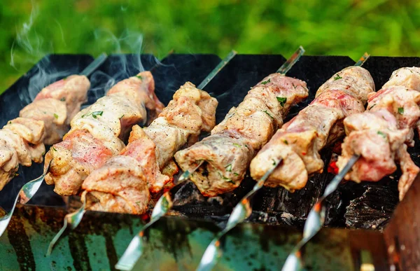 Pieces Pork Being Roasted Skewers Charcoal — Stock Photo, Image