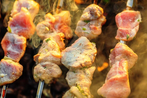 Trozos Cerdo Asados Brochetas Sobre Carbón Vegetal —  Fotos de Stock