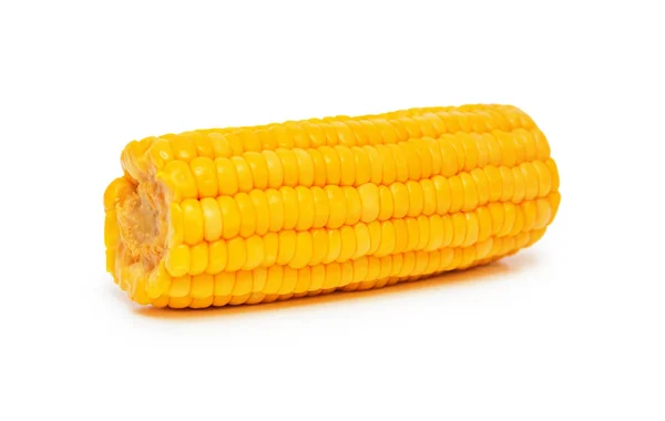 Corn — Stock Photo, Image