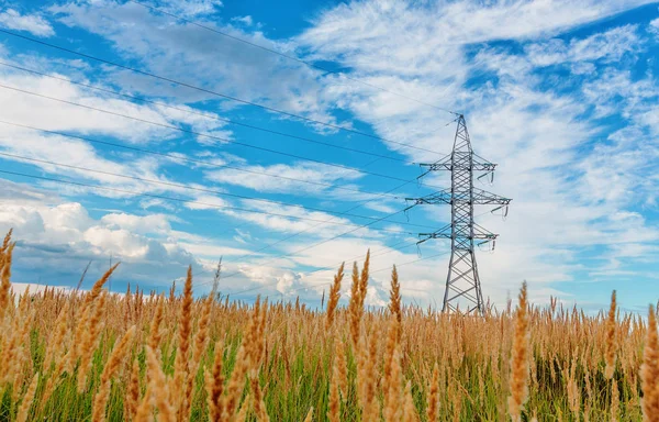 Högspänning linje och blå himmel — Stockfoto