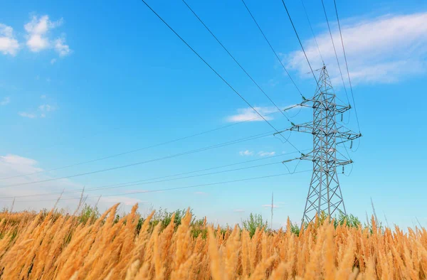 Ligne Haute Tension Sous Ciel Nuageux Bleu — Photo