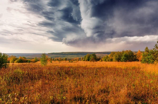 俄罗斯的草地和乌云密布的天空在大雨前的风景 — 图库照片