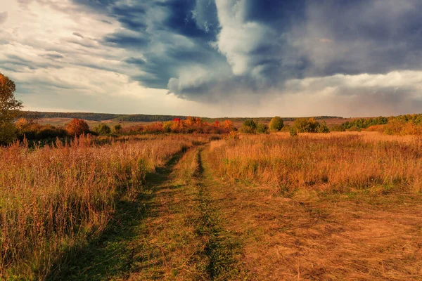 Ryskt Landskap Äng Och Mörk Molnig Himmel Innan Hårt Regn — Stockfoto