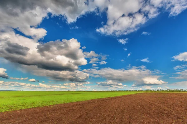 Campo Céu Azul Nublado Natureza Fundo — Fotografia de Stock