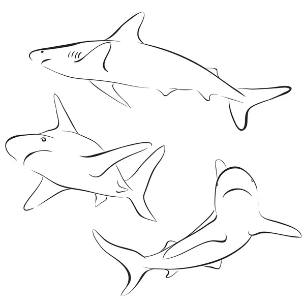 Стиль линии акул. Векторный символ — стоковый вектор