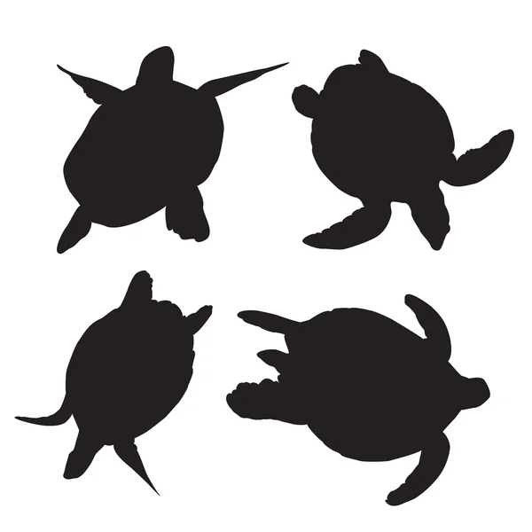 Siluetas vectoriales de tortuga — Vector de stock