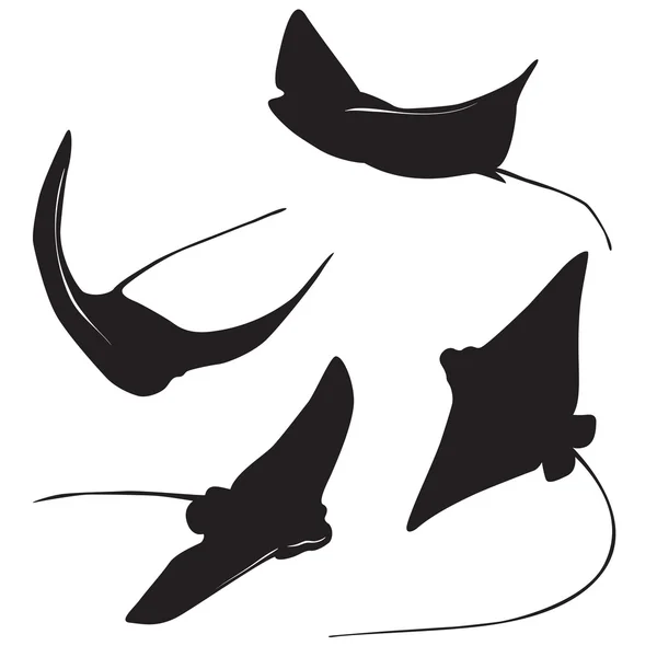 Stingray vector silhouet — Stockvector