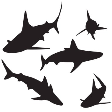 Köpekbalığı vektör siluetleri set.