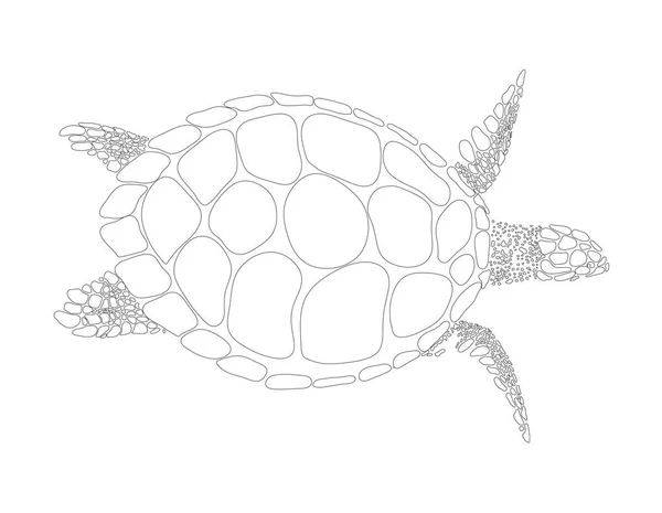 Schildkrötenvektorsymbol — Stockvektor