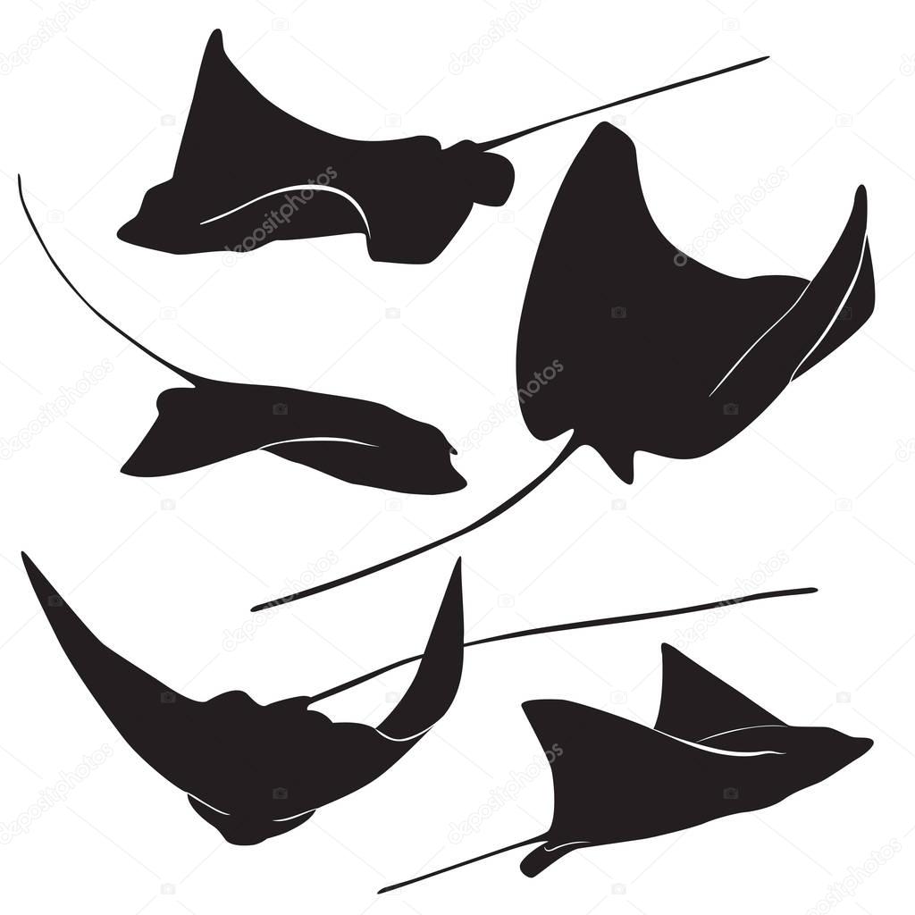 Set of stingray silhouette and icons in simple style. vector illustration.