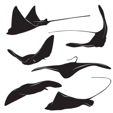 Stingray vektör siluet