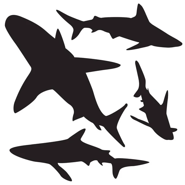 Žralok vektor siluety sada. — Stockový vektor