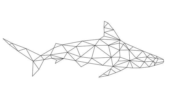 Wektor, wielokąt rekin — Wektor stockowy