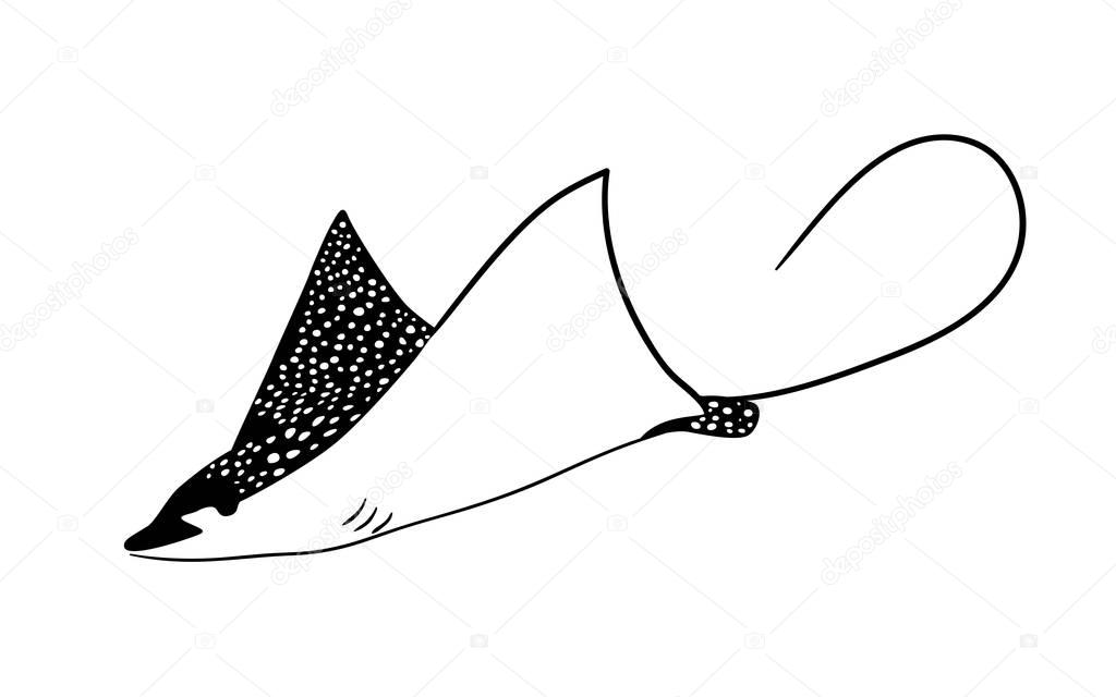 Manta ray fish vector. animal, wildlife design